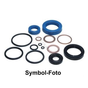 Dichtsatz Fur Hubwagen Bt Lifter L23 Quick Dichtung Hydraulik